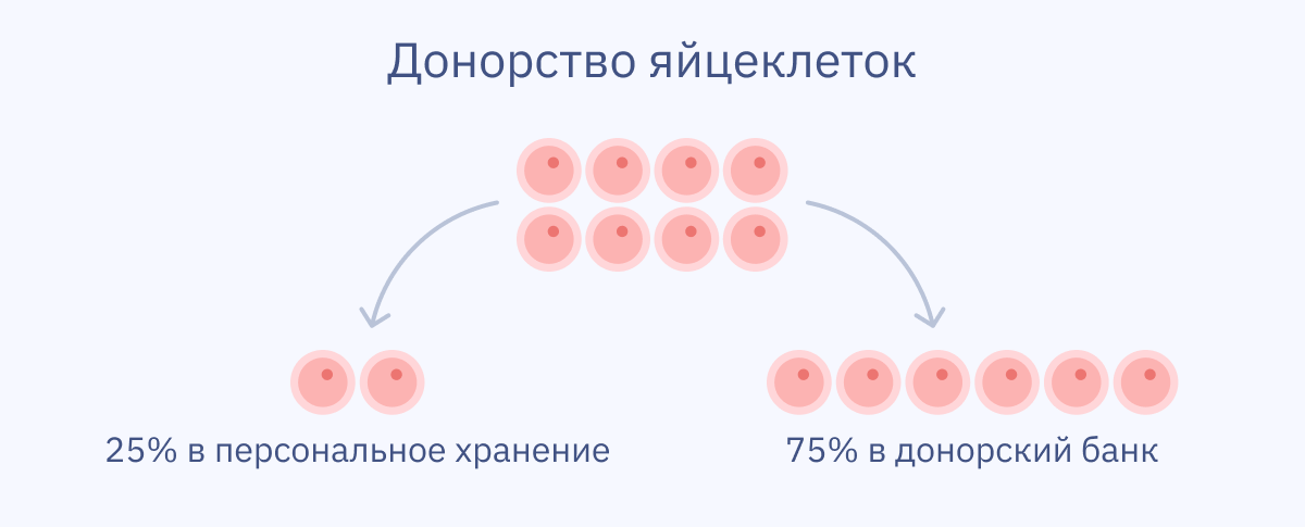 Банк донорских яйцеклеток