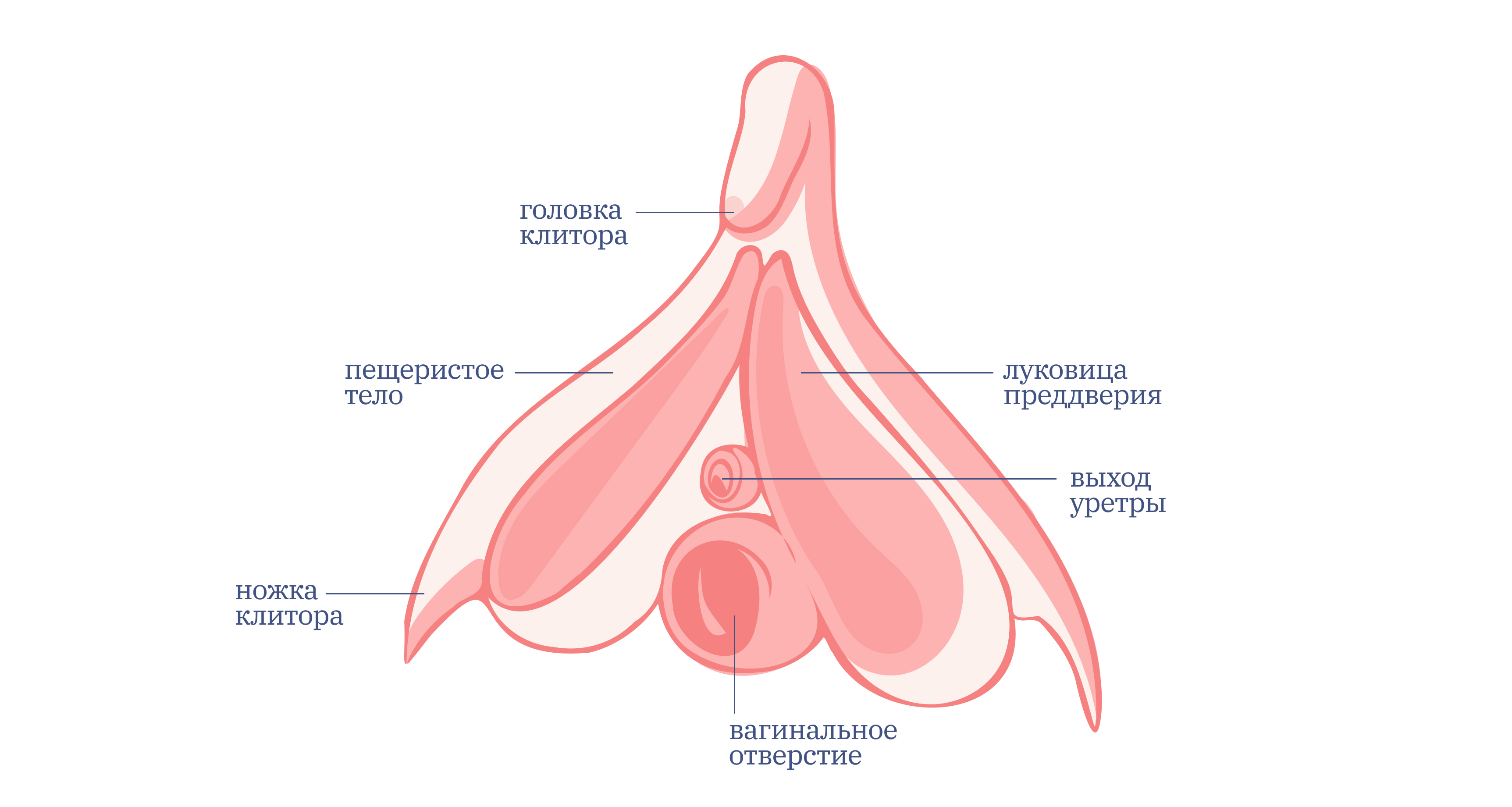 Что такое миотонический оргазм (и как его получить) | MARIECLAIRE